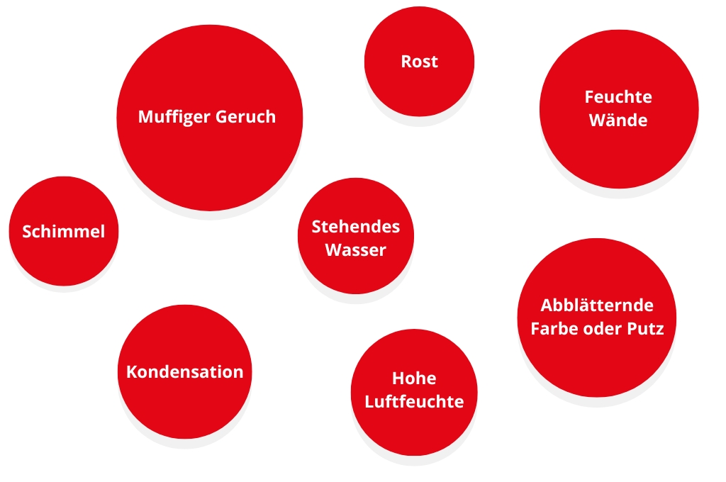 Grafik mit möglichen Anzeichen für Feuchtigkeit im Keller