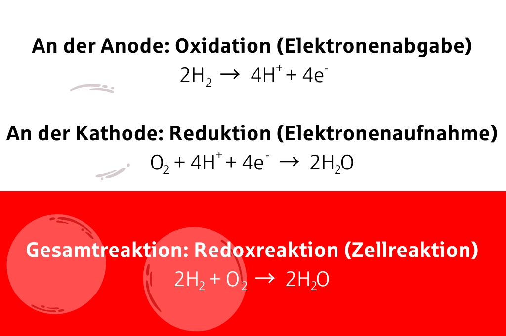 Chemische Reaktion in einer Brennstoffzelle: Formel: An der Anode:
2H2→4H++4e−

An der Kathode:
O2+4H++4e−→2H2O

Gesamtreaktion:
2H2+O2→2H2O