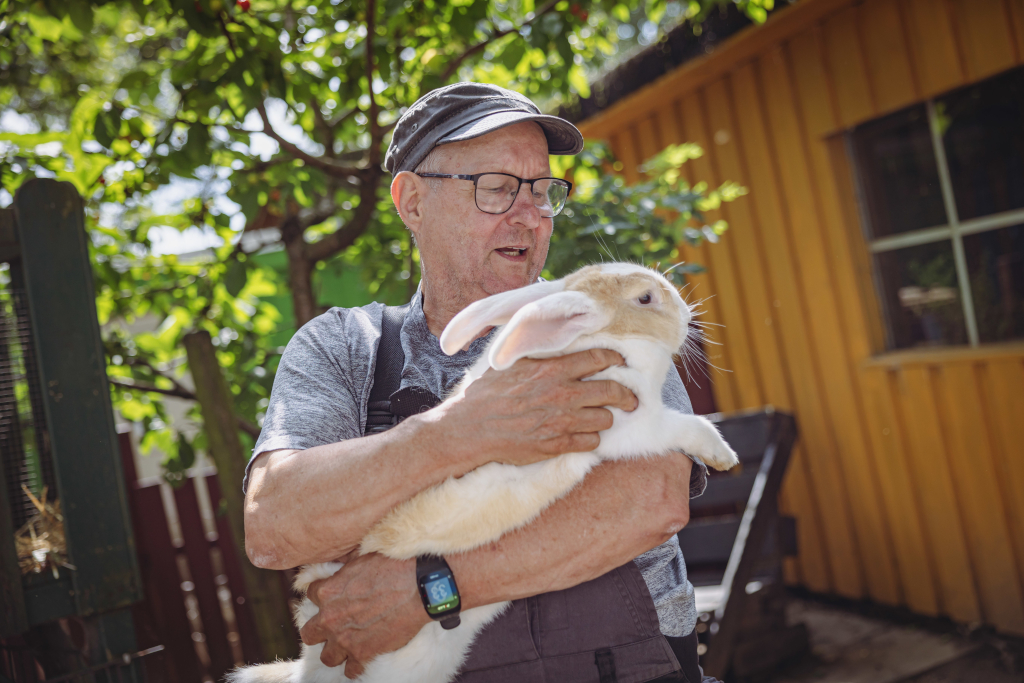 Kinderbauernhof Kirchhof: Betriebsleiter Gerd Horn mit Riesenkaninchen