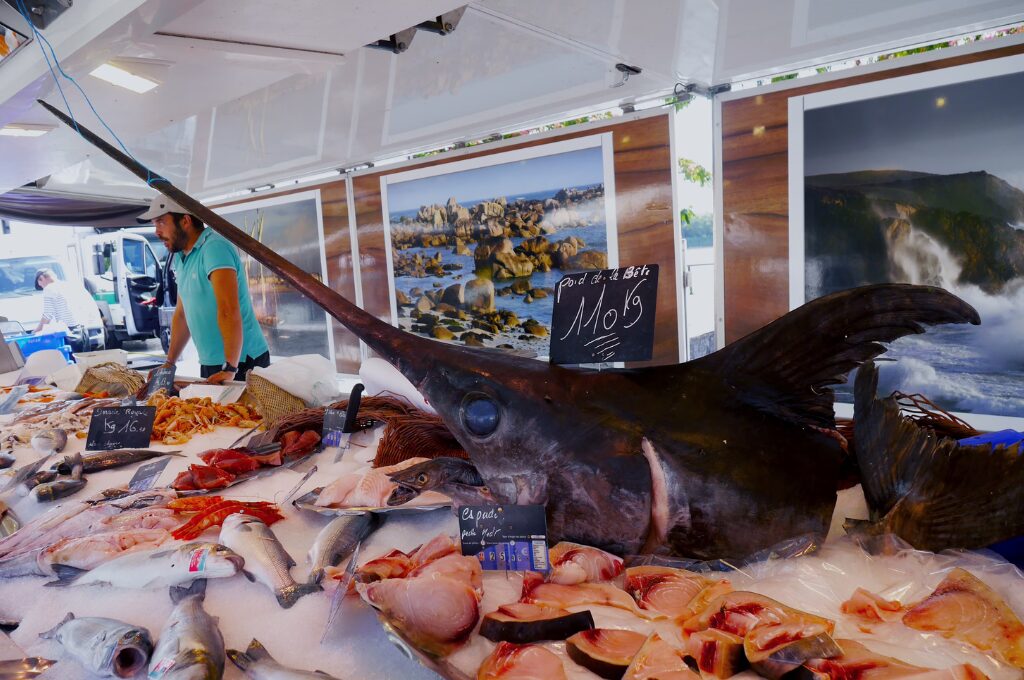 Fischmarkt Hamburg, Bild von unterschiedlichen Fischen am Stand