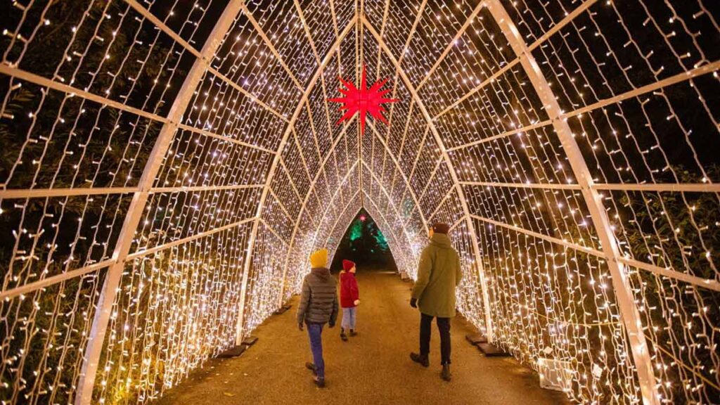 Adventszeit mit Kindern in Hamburg: Eindrucksvolle Lichtinstallation mit drei Personen